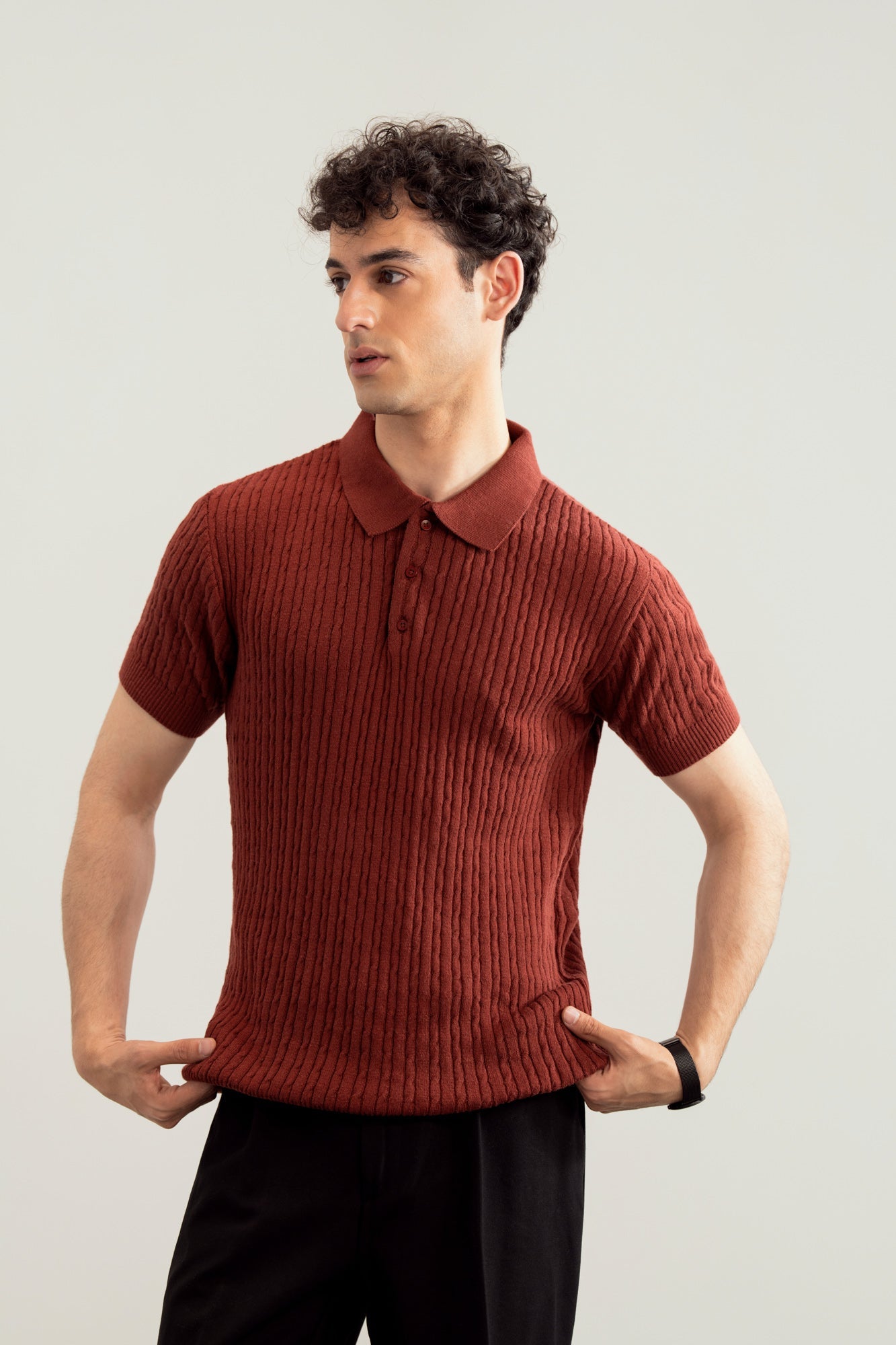 Dark Cherry Cable Knit Polo - Men